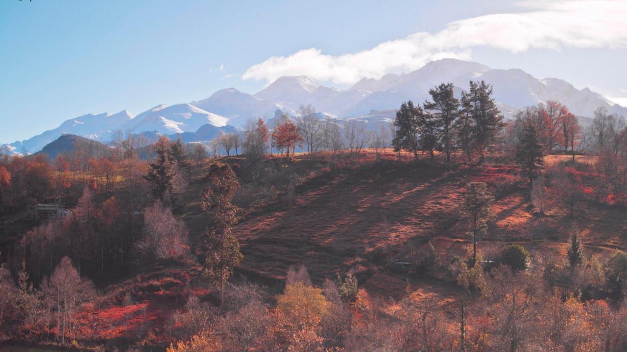Onís Pulieru - Picos De Europa Views, Designed For All Seasons מראה חיצוני תמונה